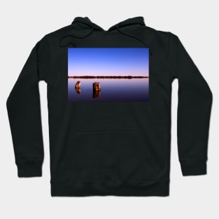 All Quiet on the Lake Hoodie